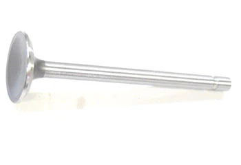 10-09538 | QualCast Valve